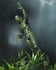 NECA - Universal Monsters - Creature from the Black Lagoon Ultimate Action Figure (04822)