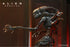 NECA: Ultimate - Alien: Romulus - Scorched Xenomorph Action Figure (51741) LOW STOCK