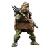 Star Wars: Black Series - Return of the Jedi 40th - Gamorrean Guard Exclusive Action Figure (F6856) LOW STOCK