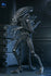 [PRE-ORDER] NECA - Aliens (1986) 40th Anniversary - Ultimate Xenomorph Warrior (Blue) Action Figure (51647)