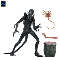 [PRE-ORDER] NECA - Aliens (1986) 40th Anniversary - Ultimate Xenomorph Warrior (Blue) Action Figure (51647)