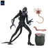 [PRE-ORDER] NECA - Aliens (1986) 40th Anniversary - Ultimate Xenomorph Warrior (Blue) Action Figure (51647)