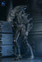 [PRE-ORDER] NECA - Aliens (1986) 40th Anniversary - Ultimate Xenomorph Warrior (Blue) Action Figure (51647)