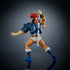Masters of the Universe X Thundercats (W1) - Lion-O Action Figure (JFW93)