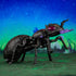 Transformers: Generations Selects - Voyager Class - Antagony (Beast Wars) Action Figure (F6942)