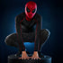 [PRE-ORDER] Marvel Legends Series - Spider-Man Electronic Expressive Mask (G0633)
