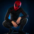 [PRE-ORDER] Marvel Legends Series - Spider-Man Electronic Expressive Mask (G0633)