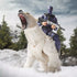 G.I. Joe Classified Series #161 - Snake Eyes & Polar Bear Action Figure (G0850) LOW STOCK