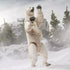 G.I. Joe Classified Series #161 - Snake Eyes & Polar Bear Action Figure (G0850) LOW STOCK
