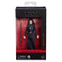 [PRE-ORDER] Star Wars: The Black Series - Attack of the Clones - Barriss Offee Action Figure (G0888)