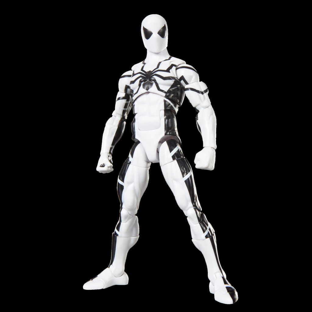 Marvel Legends Series: Future Foundation - Mister Fantastic & Spider-Man Action Figures (G2068)