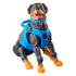 [PRE-ORDER] G.I. Joe: Classified Series #220 Mad Marauders Footloose, Mutt, & Junkyard Action Figure Set (G2070)