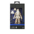 [PRE-ORDER] Star Wars: The Black Series - The Mandalorian & Grogu - Imperial Remnant Snowtrooper Action Figure (G2580)