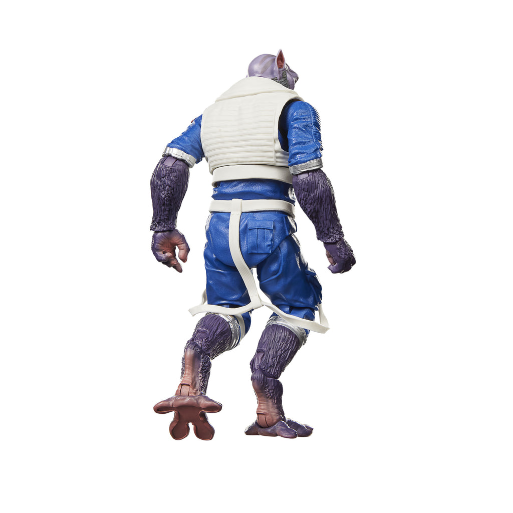 [PRE-ORDER] Star Wars: The Black Series - The Mandalorian & Grogu - Garazeb Zeb Orrelios Action Figure (G2815)