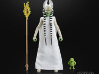 [PRE-ORDER] Star Wars: The Black Series - Togruta (halloween Edition) Action Figure (G3332)