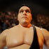 Super7 Ultimates - Andre the Giant Ultimate Action Figure (82470) LAST ONE!