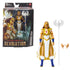 Masters of the Universe: Revolution - Sorceress Teela Action Figure (HYC45) LAST ONE!