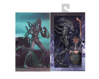 [PRE-ORDER] NECA - Aliens (1986) 40th Anniversary - Ultimate Xenomorph Warrior (Brown) Action Figure (51683)