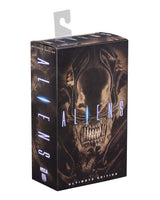 [PRE-ORDER] NECA - Aliens (1986) 40th Anniversary - Ultimate Xenomorph Warrior (Brown) Action Figure (51683)