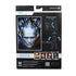 McFarlane Toys - DC Multiverse - Batman & Robin - Robin (Mr. Freeze BAF) Action Figure (15637) LAST ONE!