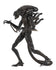 [PRE-ORDER] NECA - Aliens (1986) 40th Anniversary - Ultimate Xenomorph Warrior (Brown) Action Figure (51683)