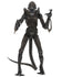 [PRE-ORDER] NECA - Aliens (1986) 40th Anniversary - Ultimate Xenomorph Warrior (Brown) Action Figure (51683)