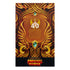 Mattel Masters of the Universe Origins - She-Ra and Swift Wind Action Figures 2-Pack Exclusive JGT15 LOW STOCK