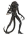 [PRE-ORDER] NECA - Aliens (1986) 40th Anniversary - Ultimate Xenomorph Warrior (Brown) Action Figure (51683)