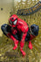 Marvel Collection - Spider-Man #1 (Todd McFarlane) - Spider-Man 1:6th Scale GOLD LABEL Figure (14909) LOW STOCK