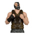 McFarlane - DC Multiverse - Dark Knight Rises - Bane (Deluxe Theatrical Edition) Action Figure 17891 LOW STOCK