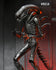 NECA - Alien: Romulus (2024) - Ultimate Xenomorph XX121 (Big Chap) 7-inch Action Figure (NE51742)