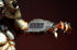 [PRE-ORDER] NECA - Predator 2 (1990) - Ultimate 1:4 Scale City Hunter Predator w/LED Lights Action Figure 51547