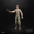 Star Wars: The Black Series - Empire Strikes Back - Luke Skywalker (Dagobah) Action Figure (E8084) LOW STOCK