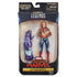 Hasbro - Marvel Legends - Captain Marvel - Kree Sentry BAF - Carol Danvers Figure in Bomber Jacket (E3888)