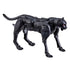 Transformers - War for Cybertron: Kingdom WFC-K31 Deluxe Shadow Panther Action Figure (F0681) LOW STOCK