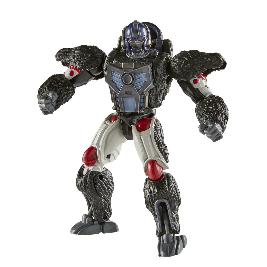 Transformers - R.E.D. [Robot Enhanced Design] - Transformers Beast Wars Optimus Primal Action Figure (F0742)