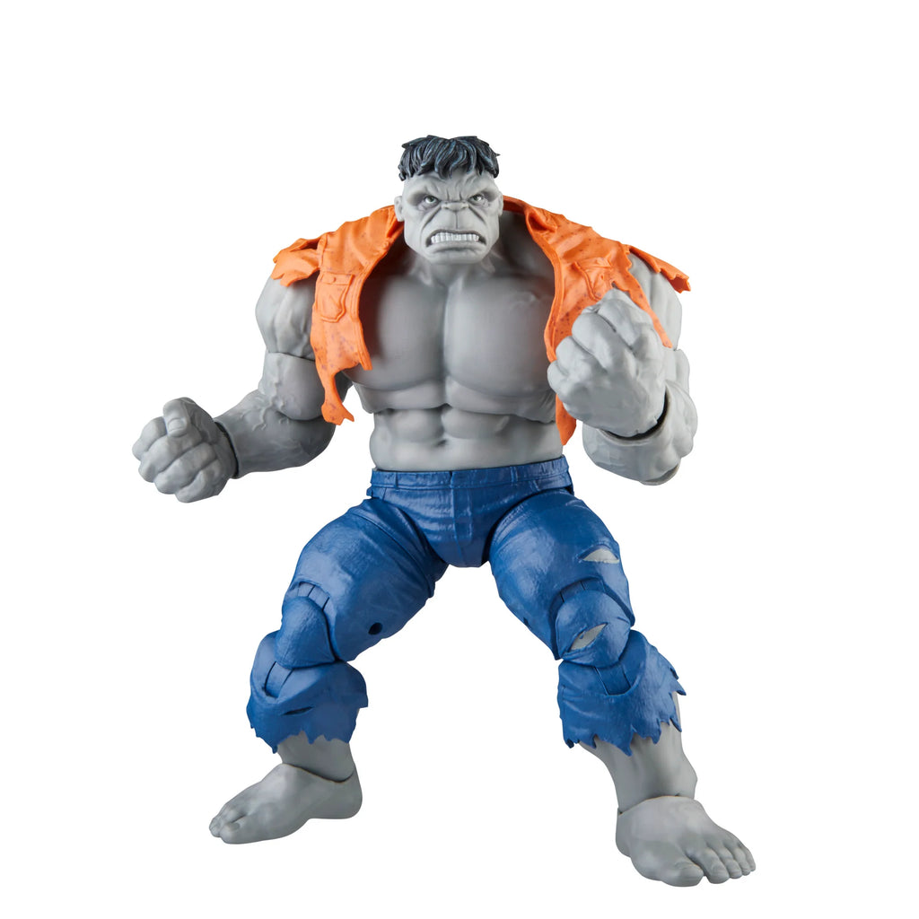 Marvel Legends Series - Avengers 60th Anniversary - Gray Hulk and Dr. Bruce Banner Action Figure (F7084) LAST ONE!