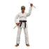 Icon Heroes - SDCC 2021 - Karate Kid Johnny Lawrence Cobra Kai Dojo 6-Inch Action Figure