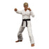 Icon Heroes - SDCC 2021 - Karate Kid Johnny Lawrence Cobra Kai Dojo 6-Inch Action Figure